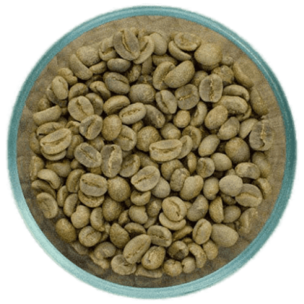 Premium Arabica Green Coffee Sukur