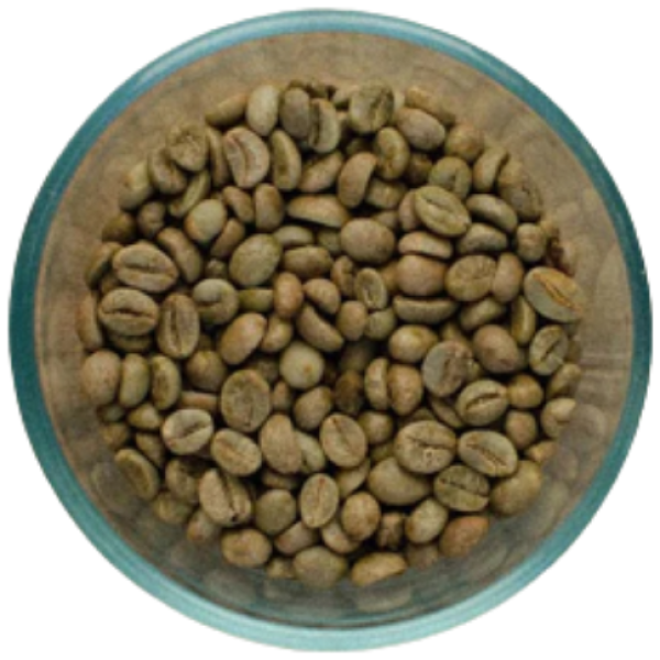 Robusta Green Natural Coffee Sukur